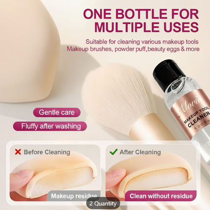 Alovia Cleaner Infographic